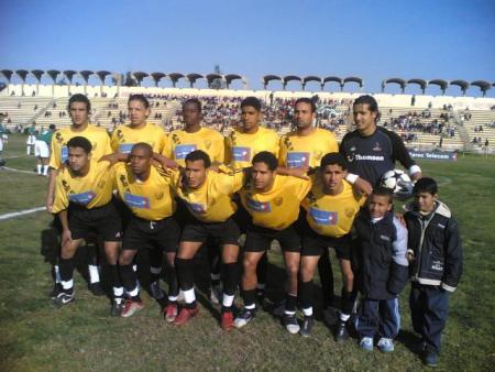 vive wlad swatcha